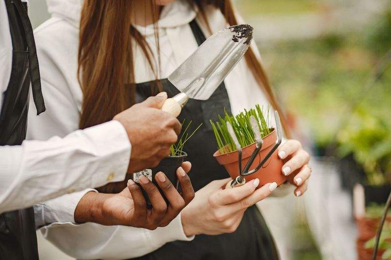 春の庭を心地よく整える、植栽メンテナンスのポイント